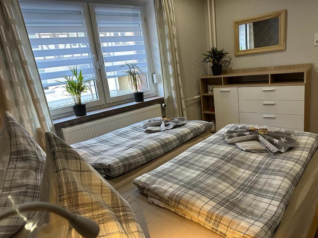 Christels Ferienwohnung 2 In Thale Mit Ueberdachter Terrasse, Kueche Mit Tv & Geschirrspueler エクステリア 写真